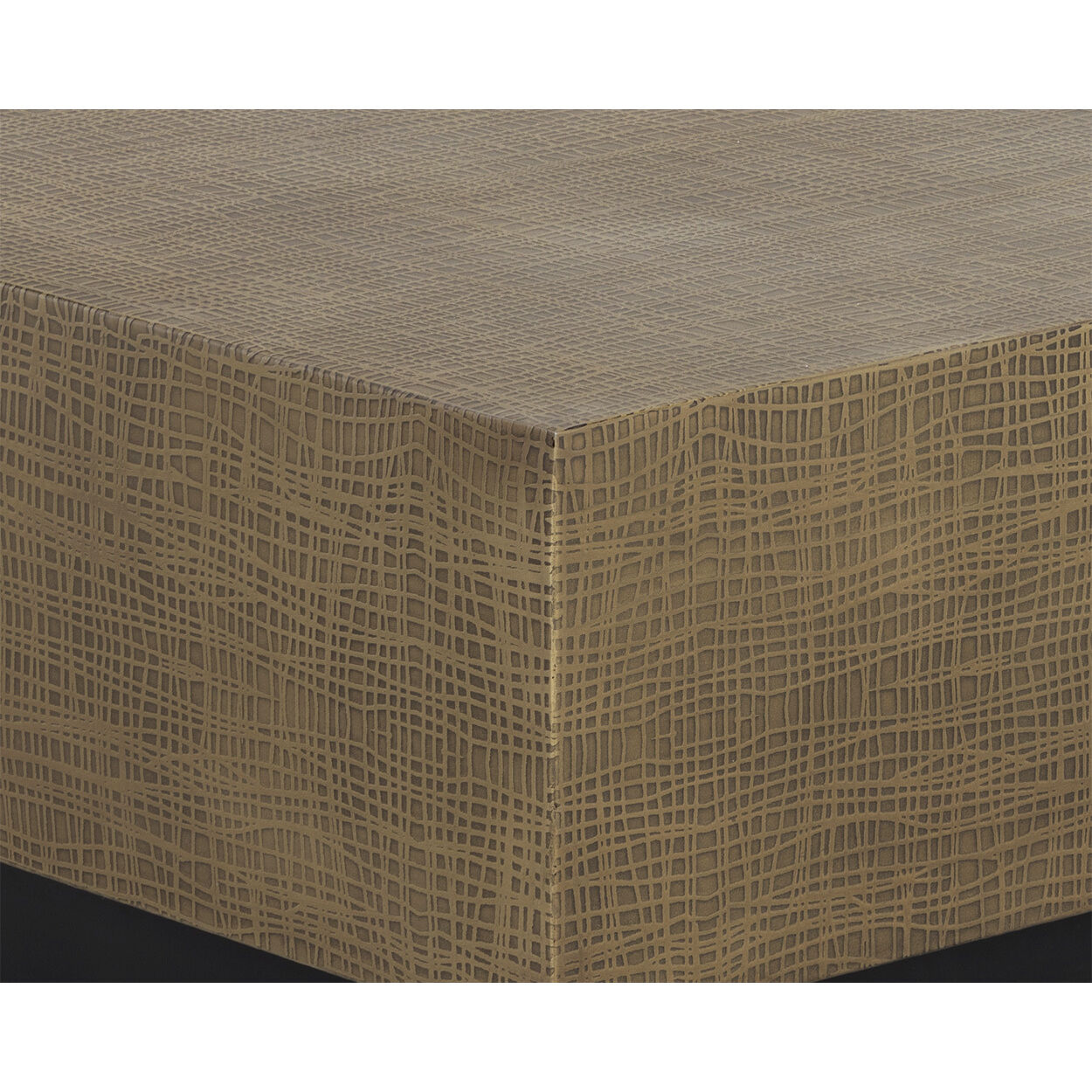 Albans 60 X 30 inch Brass / Black Coffee Table